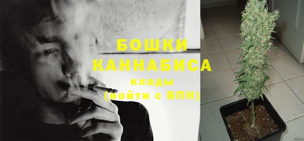 соль курить ск Ладушкин