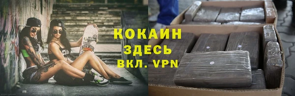 соль курить ск Ладушкин