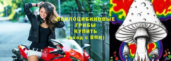 ГАЛЛЮЦИНОГЕННЫЕ ГРИБЫ Лабытнанги