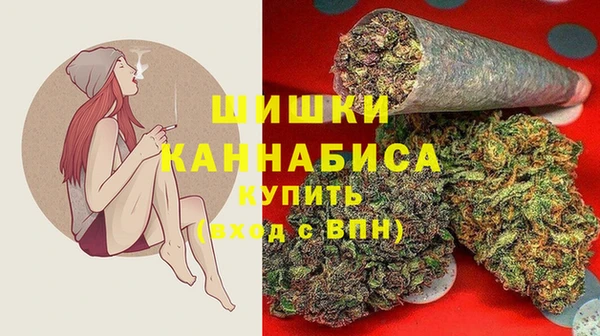 ГАЛЛЮЦИНОГЕННЫЕ ГРИБЫ Лабытнанги